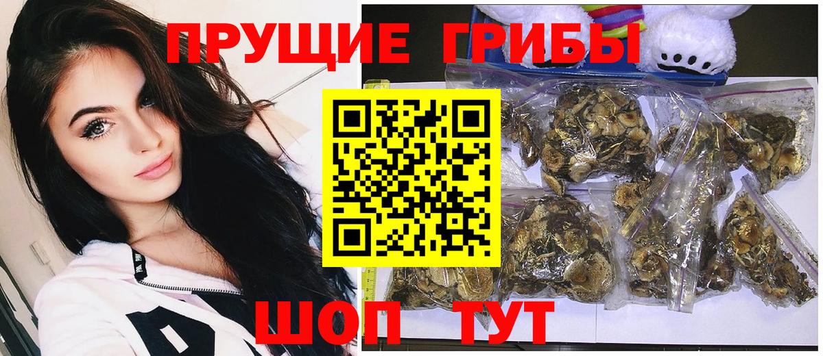 Псилоцибиновые грибы Psilocybe  Вход с VPN  Набережные Челны 