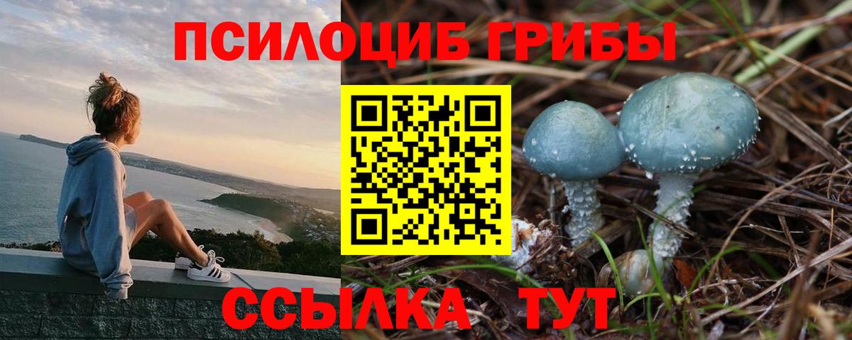 Галлюциногенные грибы Magic Shrooms Набережные Челны